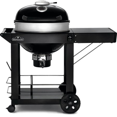 Barbecue Napoleon a carbone PRO22K frontale
