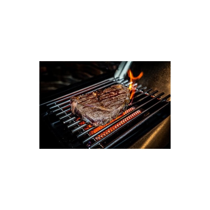 BROIL KING BARBECUE A GAS REGAL S 590 IR