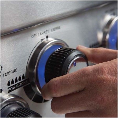 BROIL KING BARBECUE A GAS REGAL S 490 IR