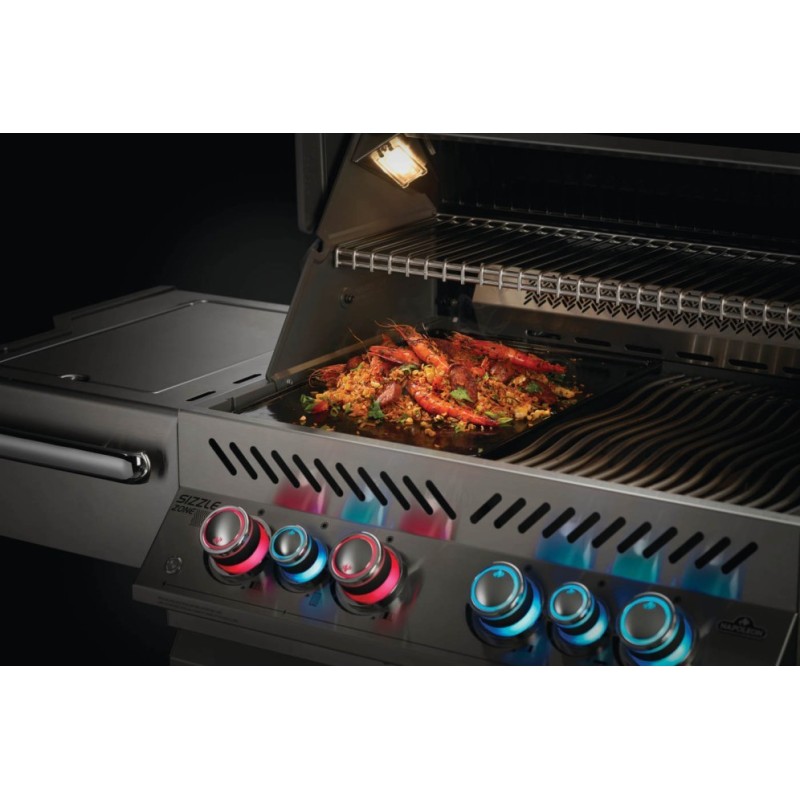 NAPOLEON PRESTIGE Piastra in ghisa reversibile immagine esemplificativa