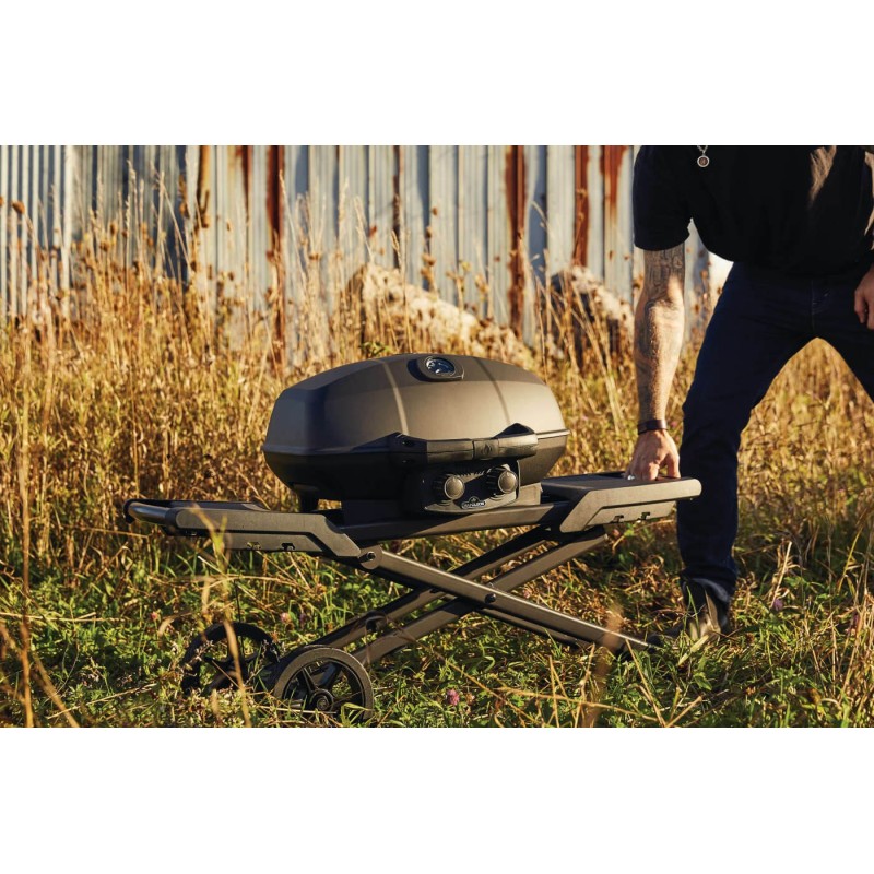 Barbecue Napoleon a gas Phantom TravelQ™ PRO285X foto 2